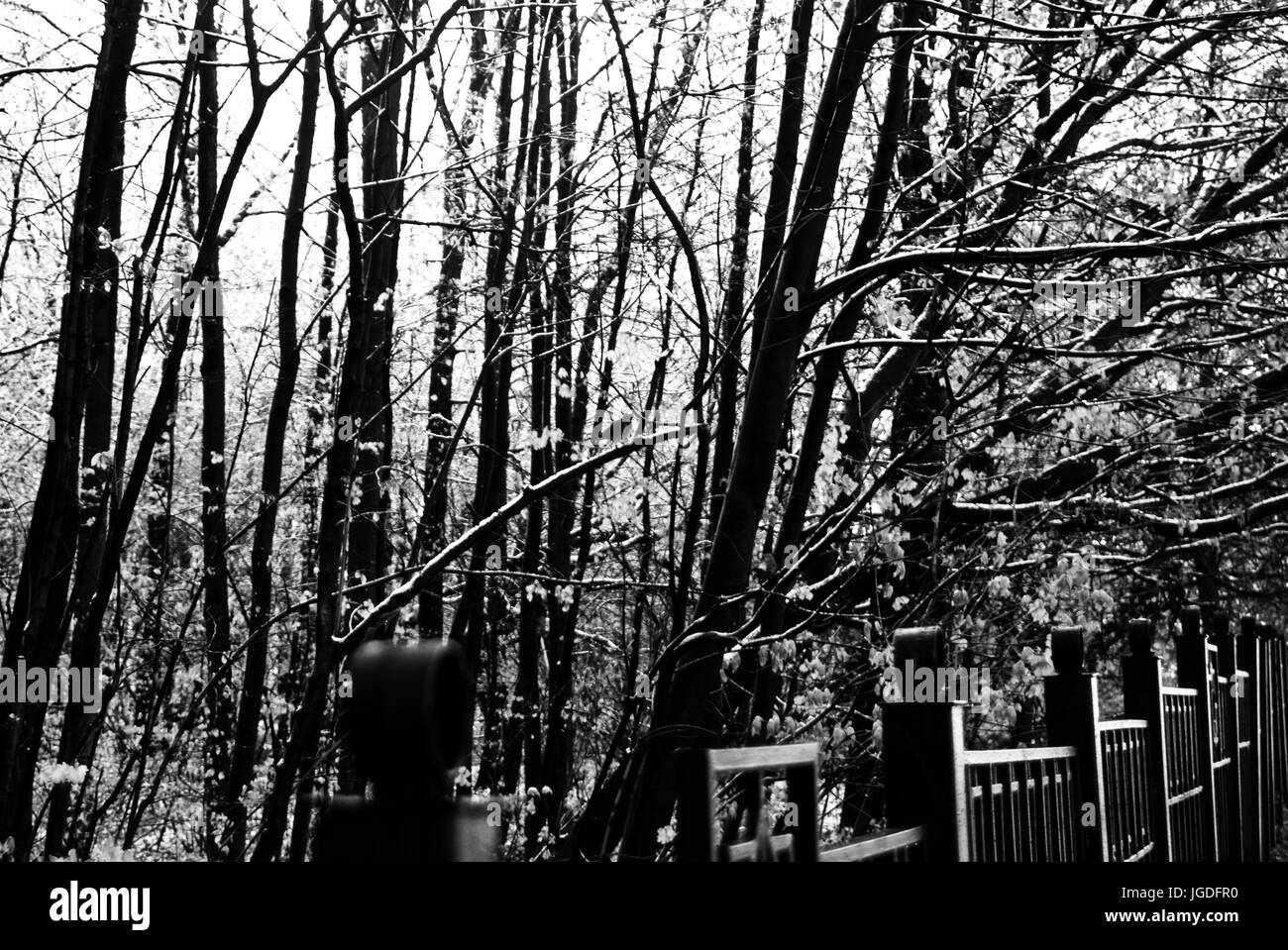 der Schnee, der im Frühjahr in Moskau, Russland fiel Stockfoto