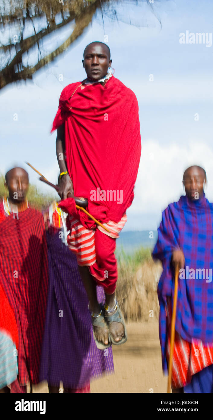 Kenia, MASAI MARA - 19. Juli 2011: Der Mann aus einem Stamm Masai zeigt rituelle Sprünge. Stockfoto