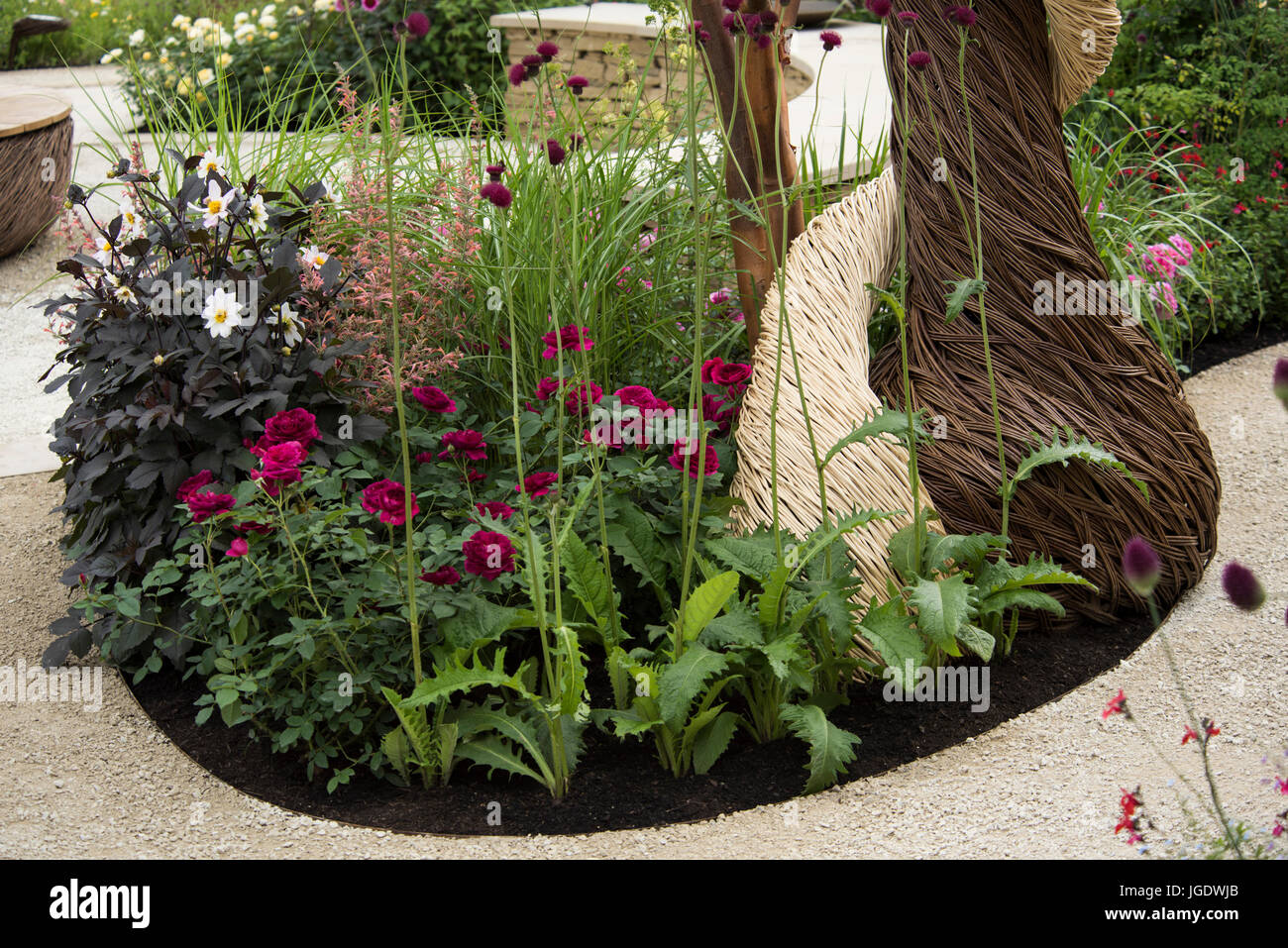 Rosa 'Darcy Bussell' und Weide Skulptur in The Blind Veterans UK: Its All über Gemeinschaftsgarten auf der RHS Hampton Court Palace Flower Show, Juli Stockfoto