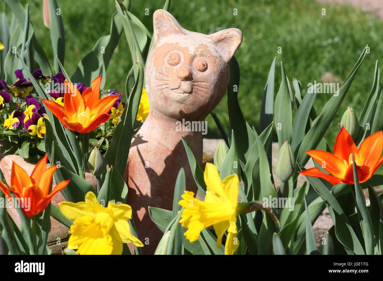 Terrakotta Figur Katze zwischen Tulpen und Narzissen, Terrakottafigur Katze Zwischen Tulpen Und Narzissen Stockfoto