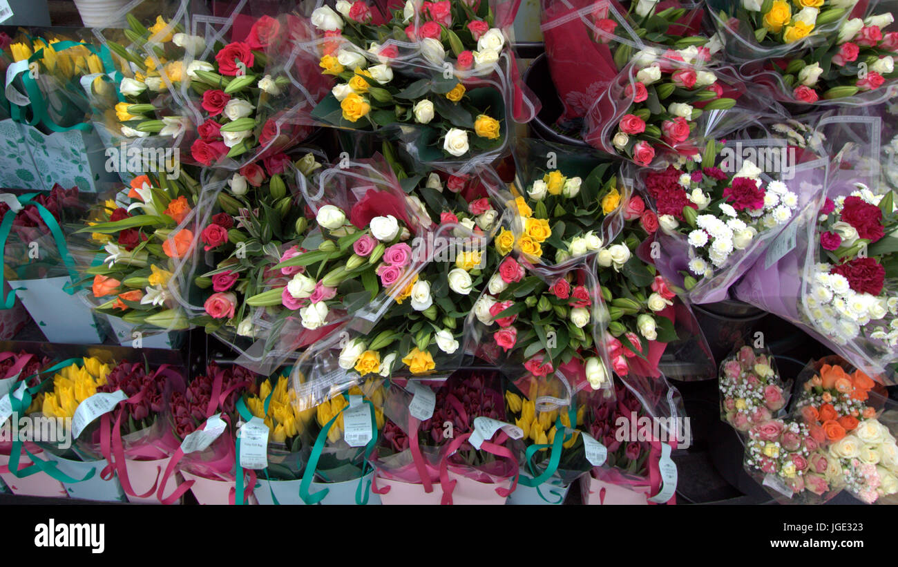 Trauben von Rosen und Blumen viele große bunte bunte Schuss frei Stockfoto