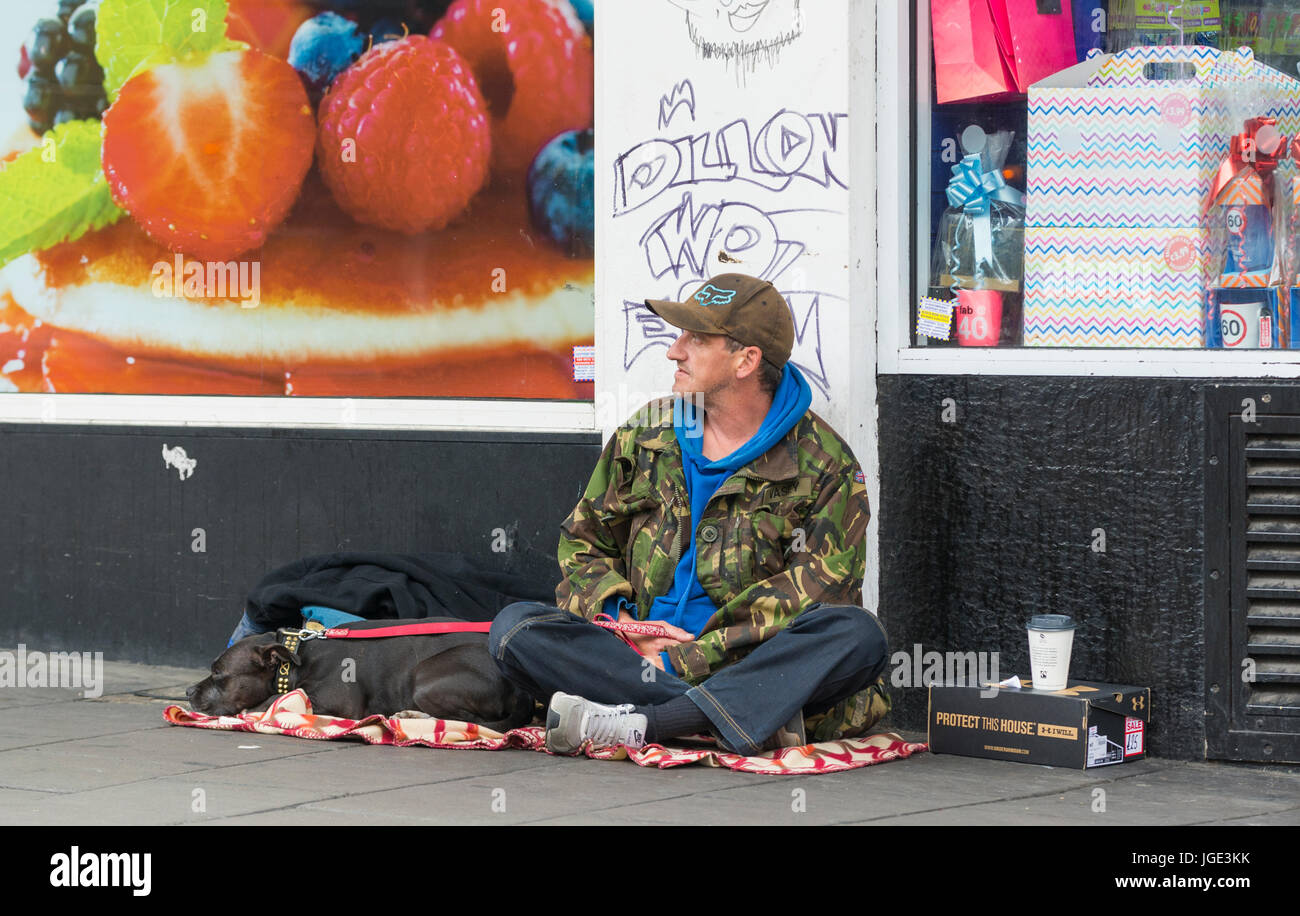 Obdachloser mit einem Hund sitzt auf einer Straße im Vereinigten Königreich. Stockfoto
