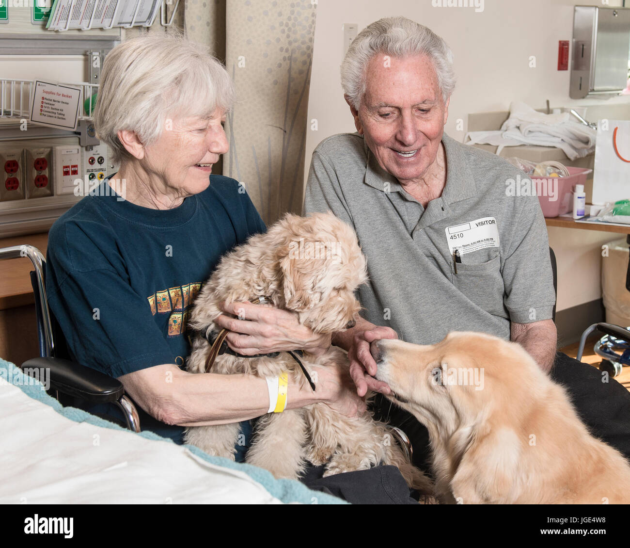 Genießen Therapiehunde Kaukasier paar Stockfoto