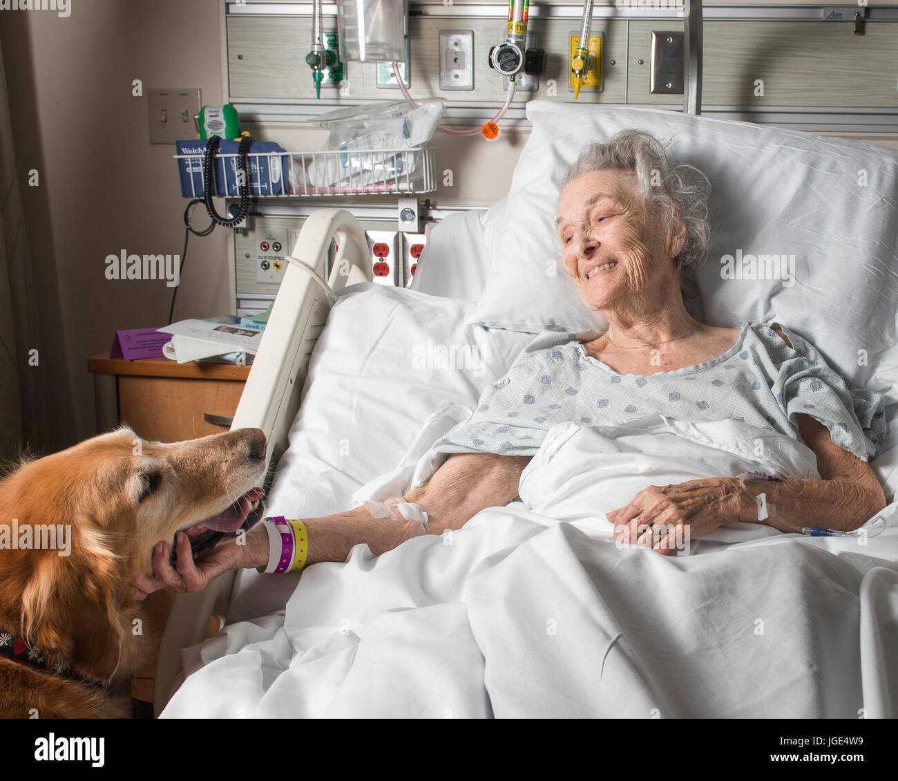 Kaukasische Frau im Krankenhaus Petting Therapiehund Stockfoto