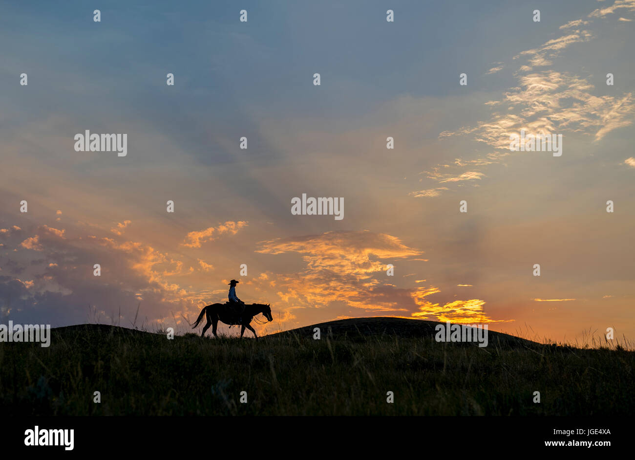 Silhouette des kaukasischen Frau Reitpferd bei Sonnenuntergang Stockfoto