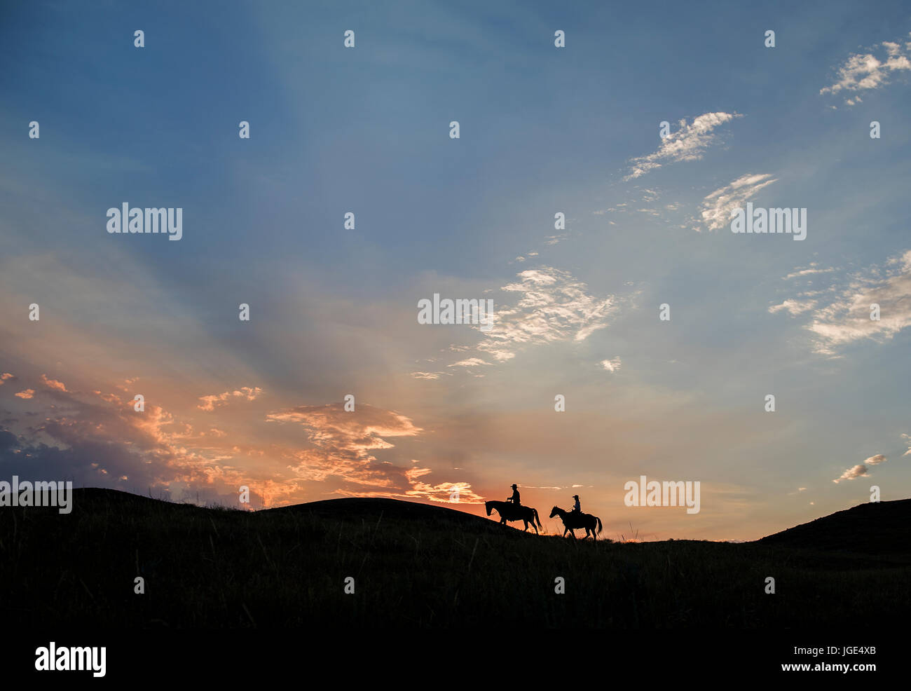 Silhouette des kaukasischen paar Reitpferde bei Sonnenuntergang Stockfoto