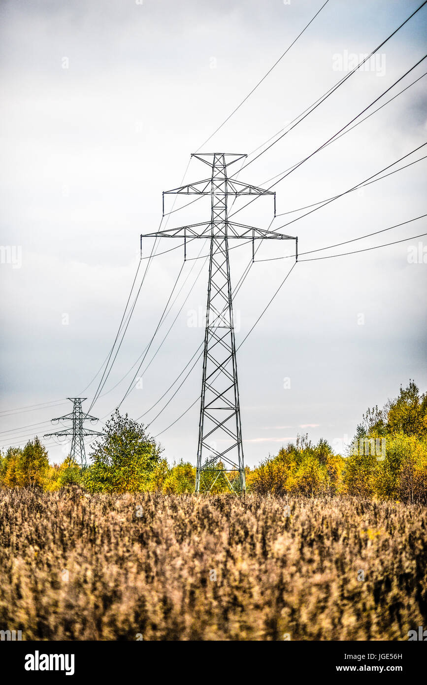 Strom-Turm mit Linien auf einem Feld mit Getreide in Polen. Stockfoto