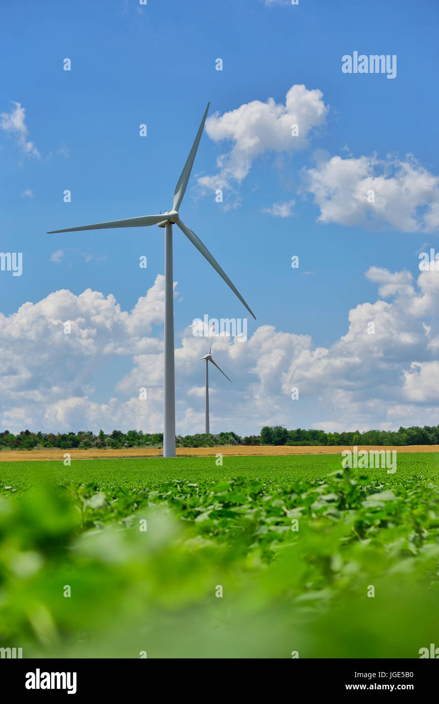 Äolische Feld- und Windenergieanlagen Bauernhof auf Contryside an einem sonnigen Tag Stockfoto