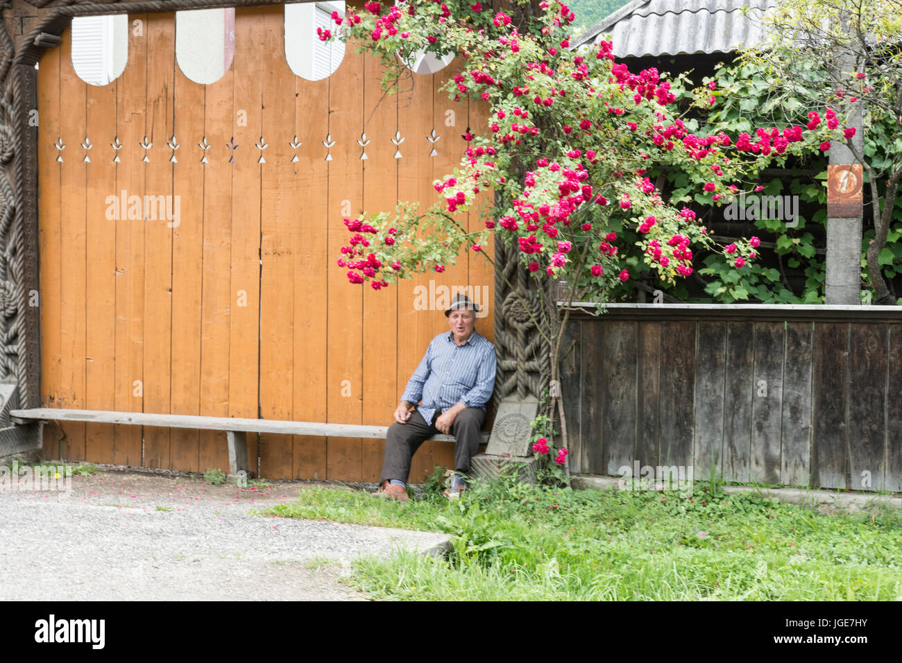 Eine Mann-Pause auf einer Bank auf der Straße in Oncesti, Region Maramures, Rumänien Stockfoto