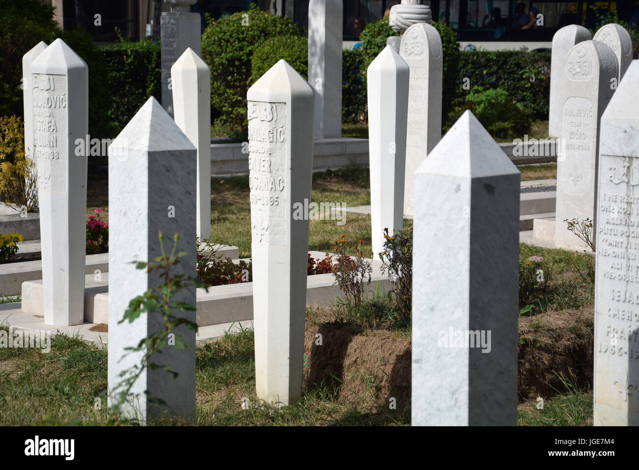 Weiße Grabsteine für die Märtyrer getötet während der Belagerung von Sarajevo zu füllen die Ali Pashas Friedhof im Stadtteil Altstadt. Stockfoto