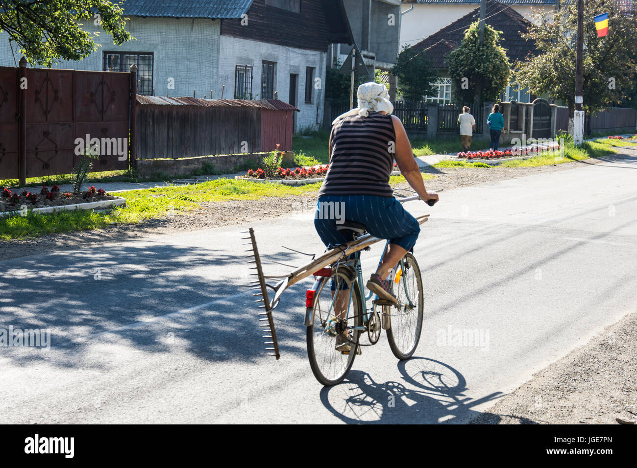 Eine Fahrrad-Frau mit der Harke und der Sichel, Region Maramures, Rumänien Stockfoto