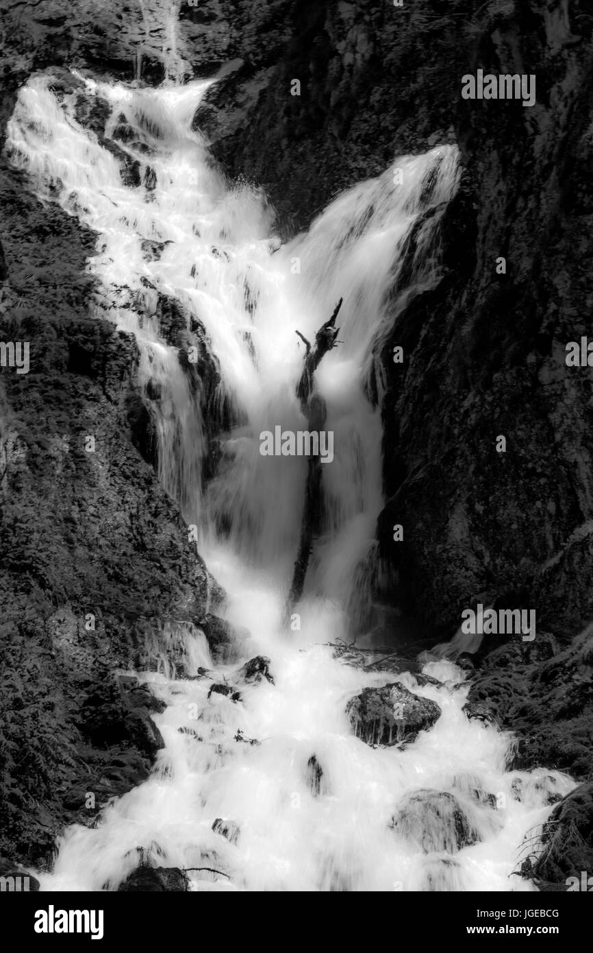 Wasserfälle im Trentino, Italien Stockfoto