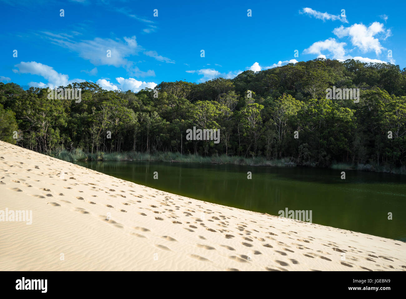 Lake Wabby, Fraser Island, Queensland, Australien. Stockfoto