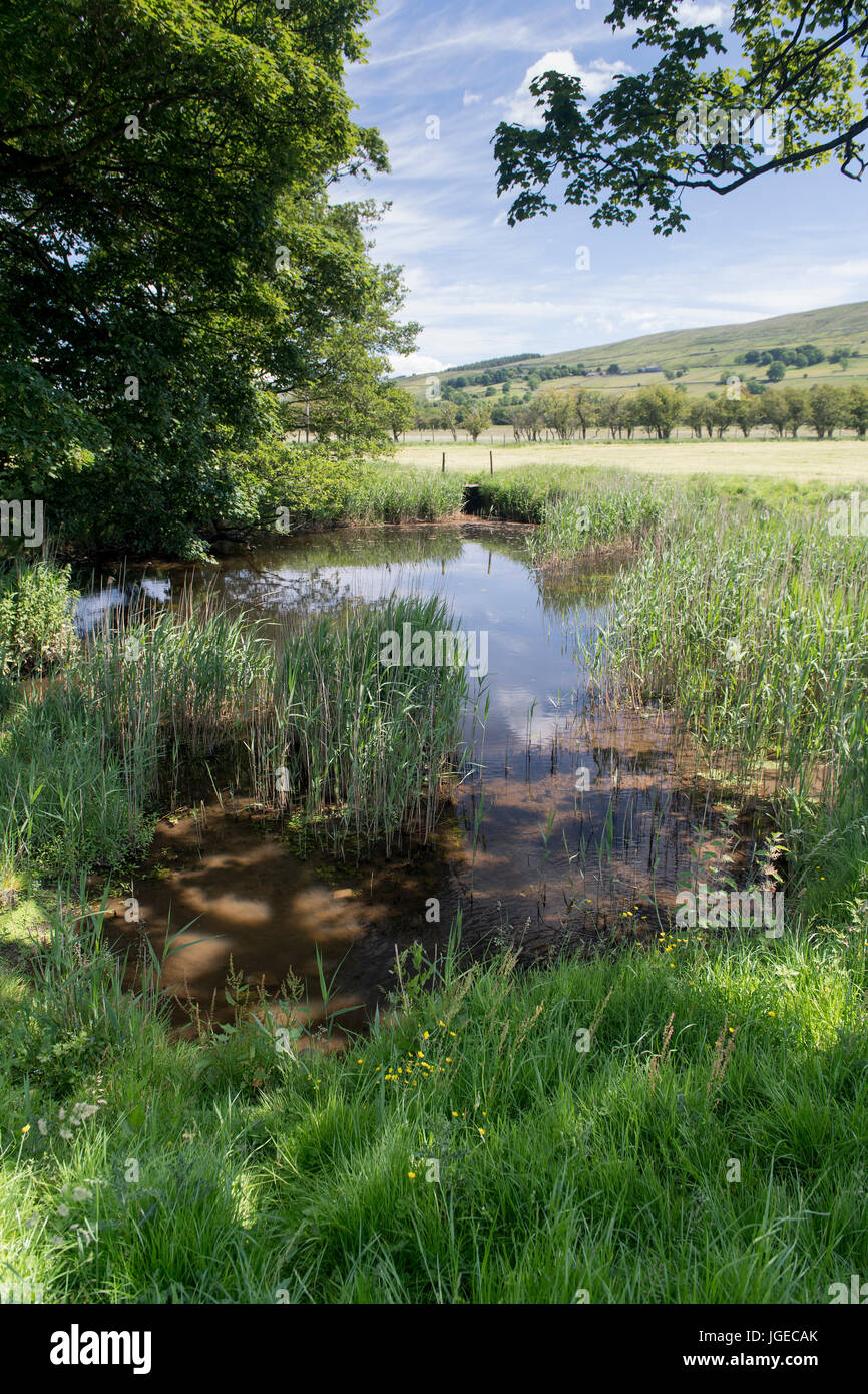 Natural drainage Fotos und Bildmaterial in hoher Auflösung Alamy