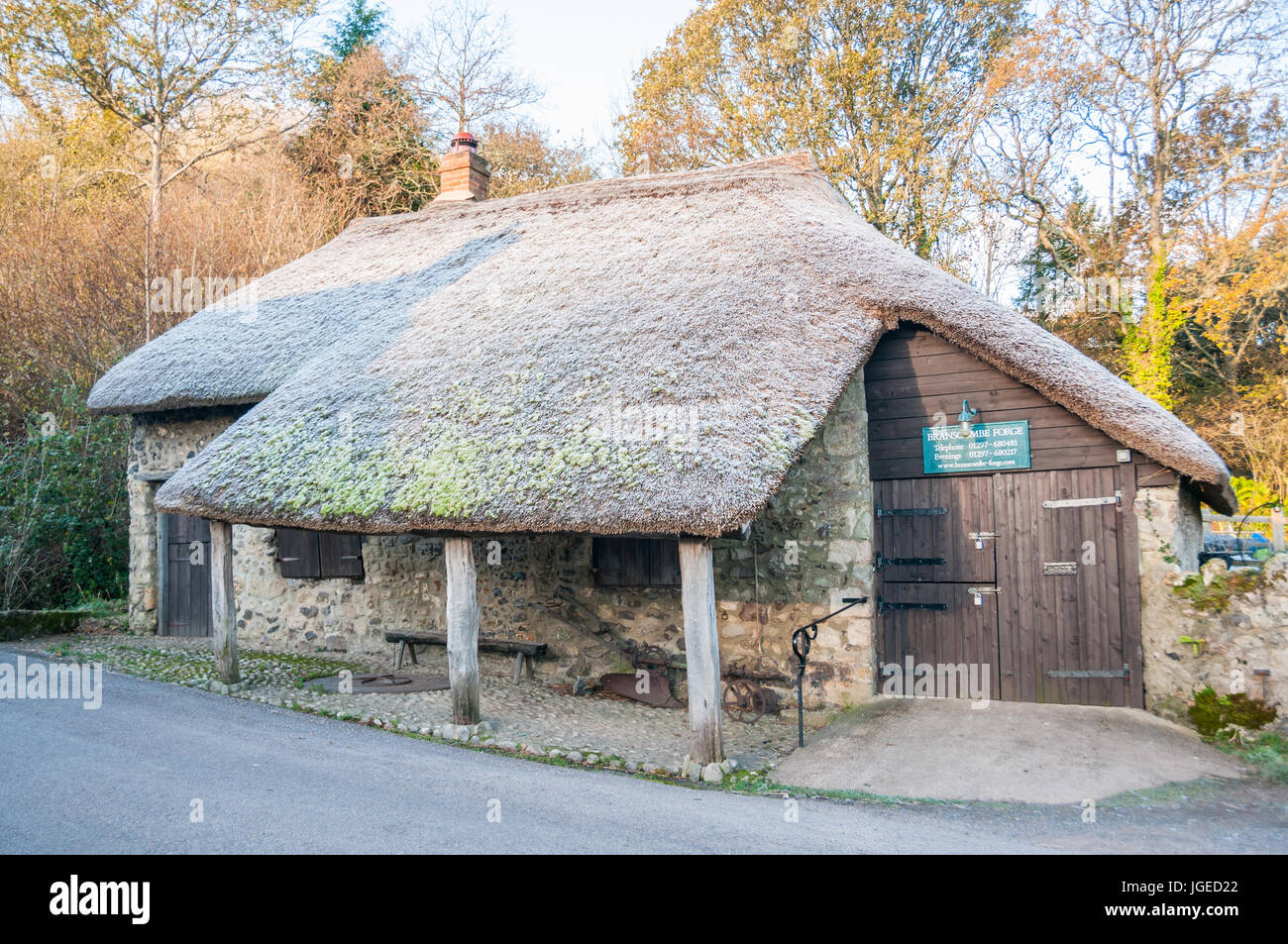 Branscombe Dorf Schmieden mit ein Fost auf seine Stroh im Spätherbst. East Devon, Großbritannien. Stockfoto