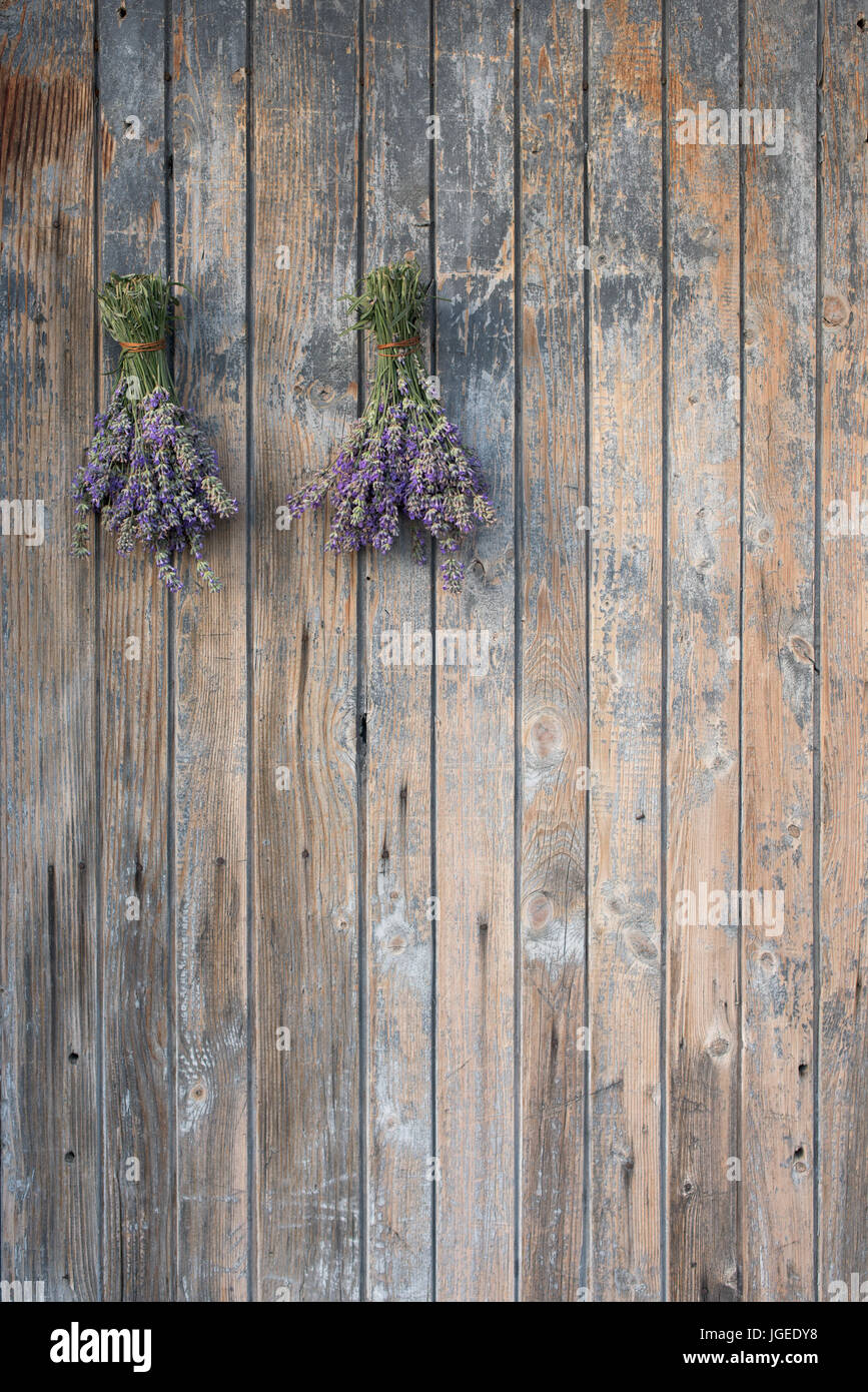 Zwei Lavendel Sträuße auf Oa alte blaue Tür Stockfoto