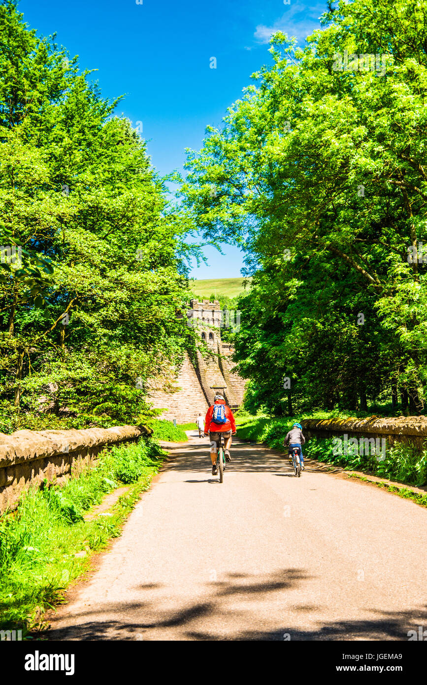 Reiten in den Gipfeln Ray Boswell Stockfoto