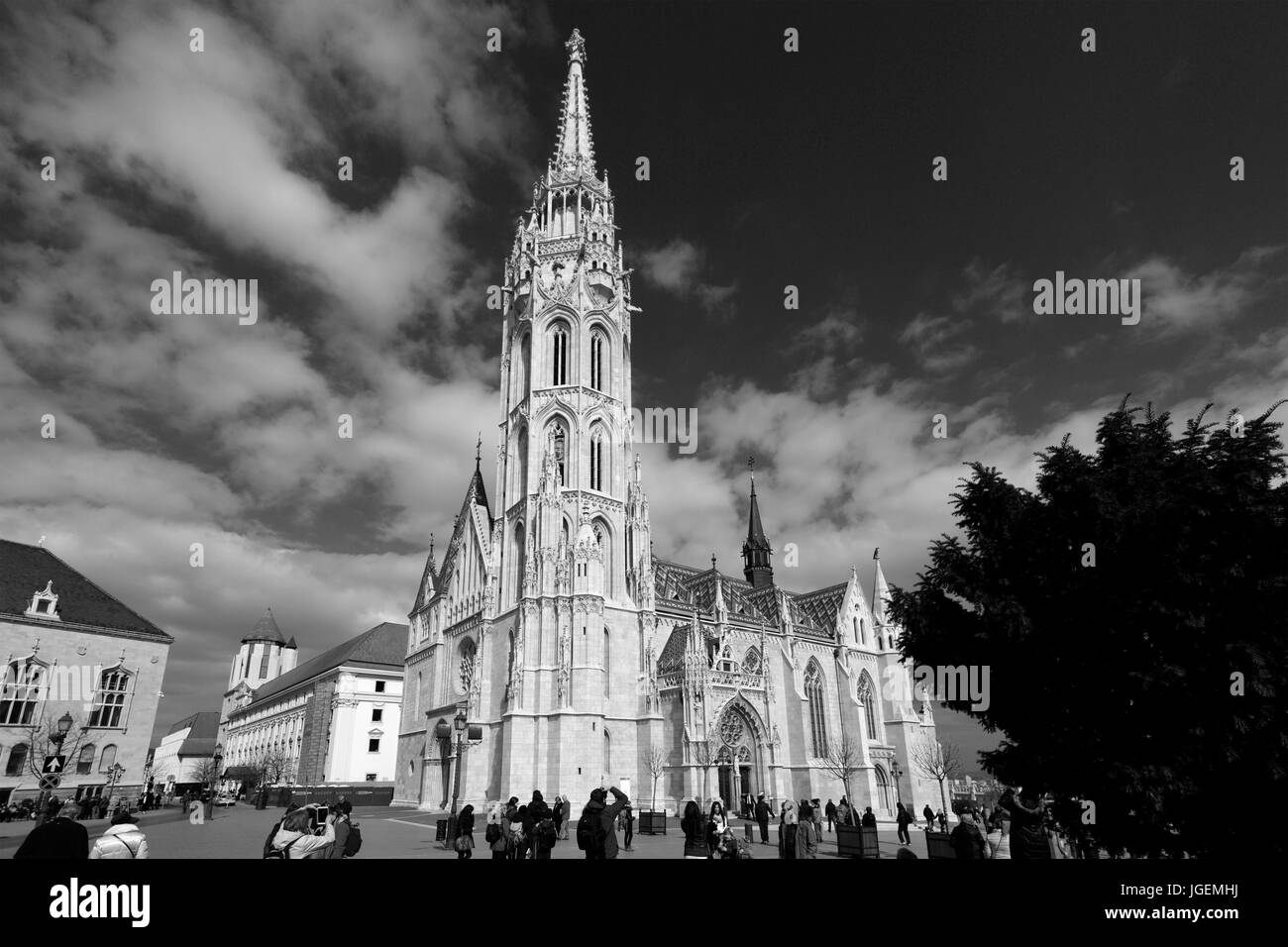 Die römisch-katholische St. Matthiaskirche, Budas Burgviertel Hügel, Stadt Budapest, Ungarn Stockfoto