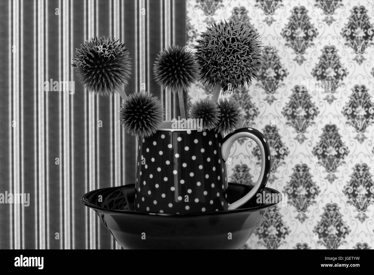 Stillleben-Studie von Echinops Veitchs Blue hautnah Stockfoto