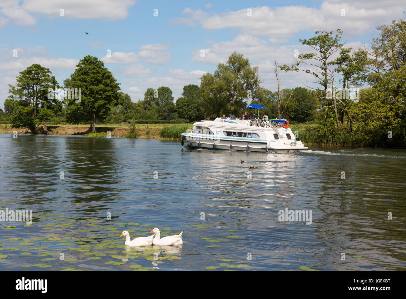 Bootsurlaub im Sommer auf der Themse bei Wallingford, Oxfordshire, England UK Stockfoto