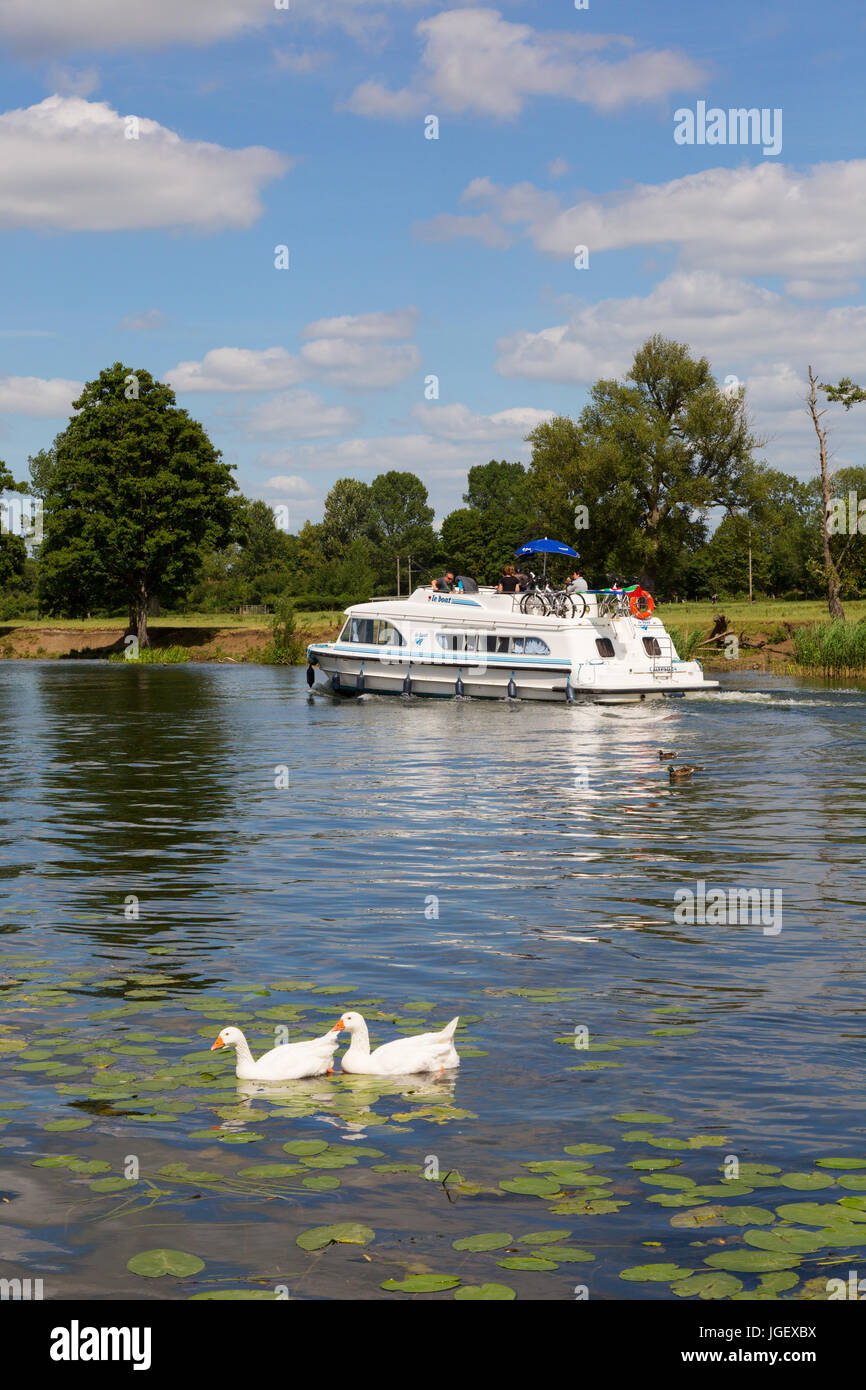 Bootsurlaub im Sommer auf der Themse bei Wallingford, Oxfordshire, England UK Stockfoto