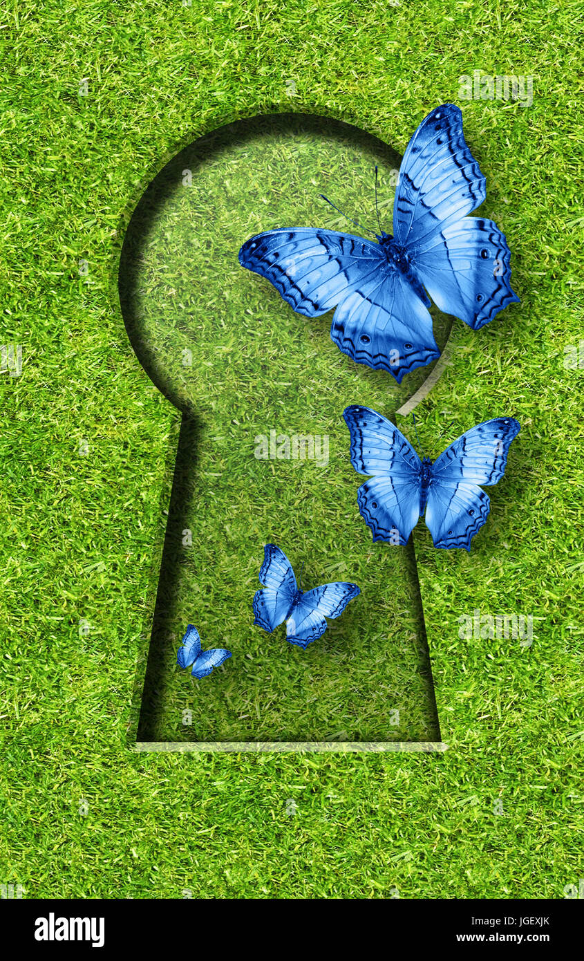 Schmetterlinge fliegen aus einem Schlüsselloch ausgeschnitten aus einem grünen Hintergrund, Ökologie, Freiheit ein d Phantasie Konzepte Stockfoto