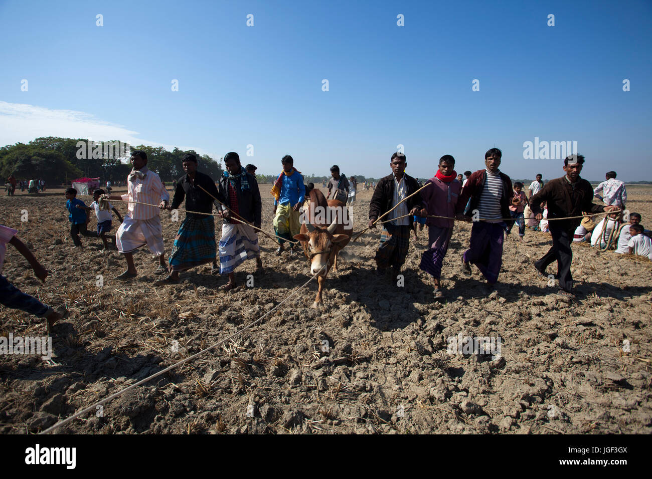 Menschen bringen einen Stier Stierkampf Wettbewerb bei Sahata. Netrokona, Bangladesch. Stockfoto