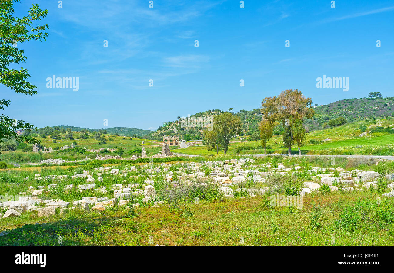 Die Felder von Patara archäologische Stätte sind mit zerstörten Steinen der ehemaligen Stadt, Türkei Stockfoto