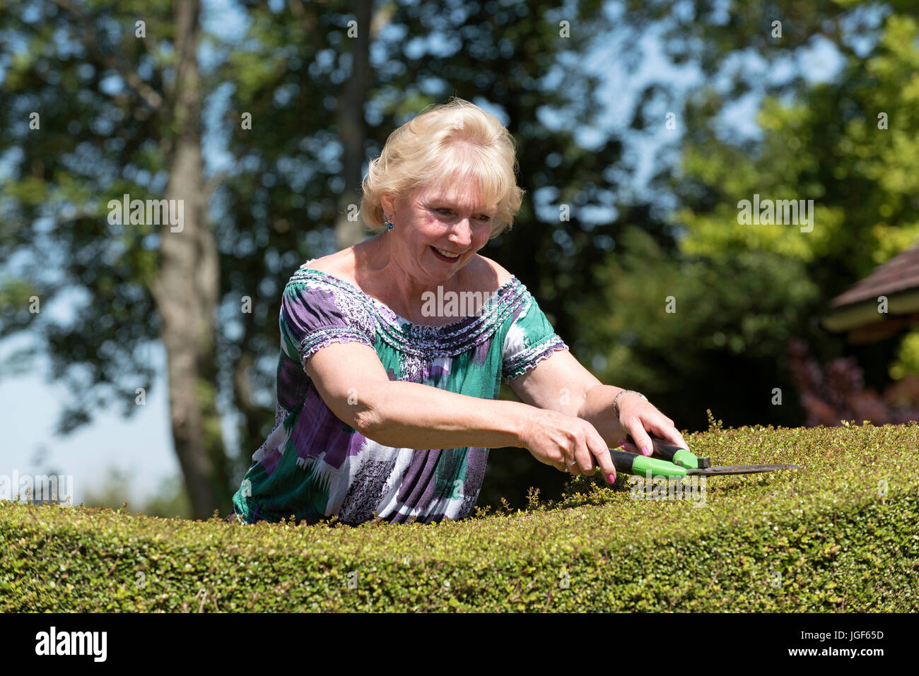 Frau Mit Schere An Der Spitze Einer Garten Hecke Schneiden