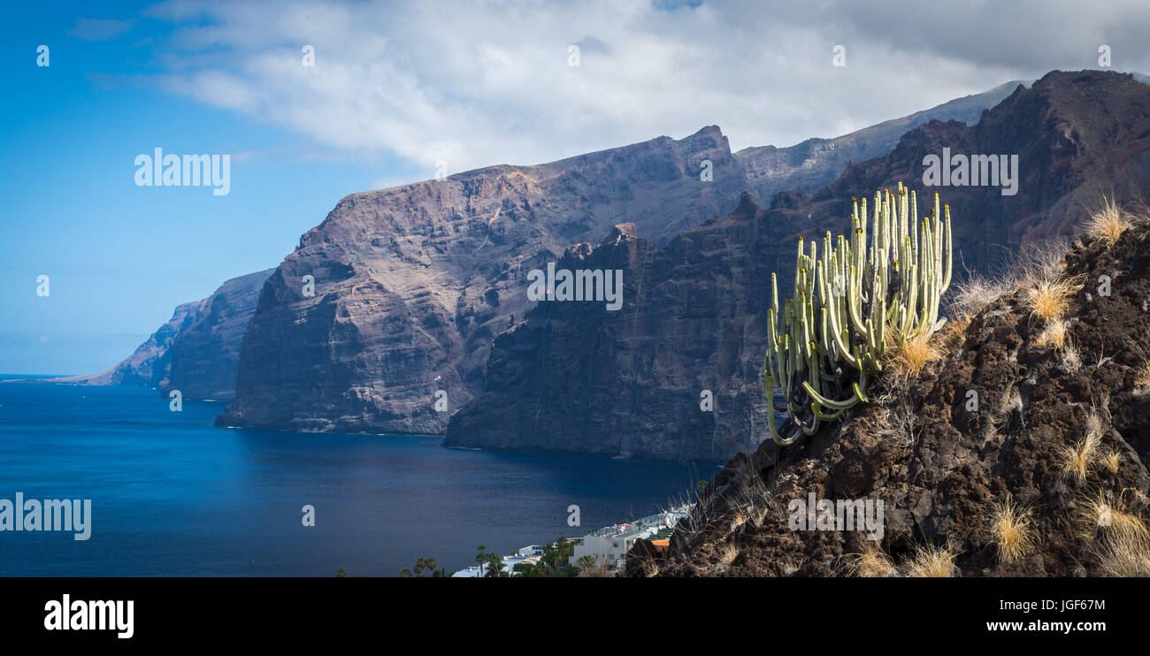 Panoramablick auf die beeindruckende Felsklippen von Los Gigantes mit der typischen kanarischen Kaktus im Vordergrund. Teneriffa Stockfoto
