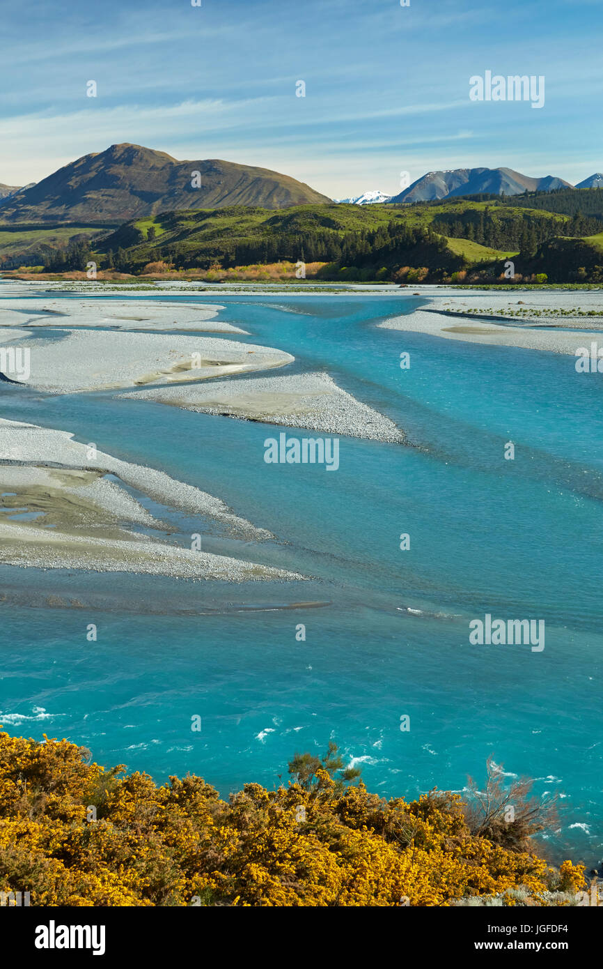 Geflochtene Ströme der Rakaia River und Ginster in Blume, Mid Canterbury, Südinsel, Neuseeland Stockfoto