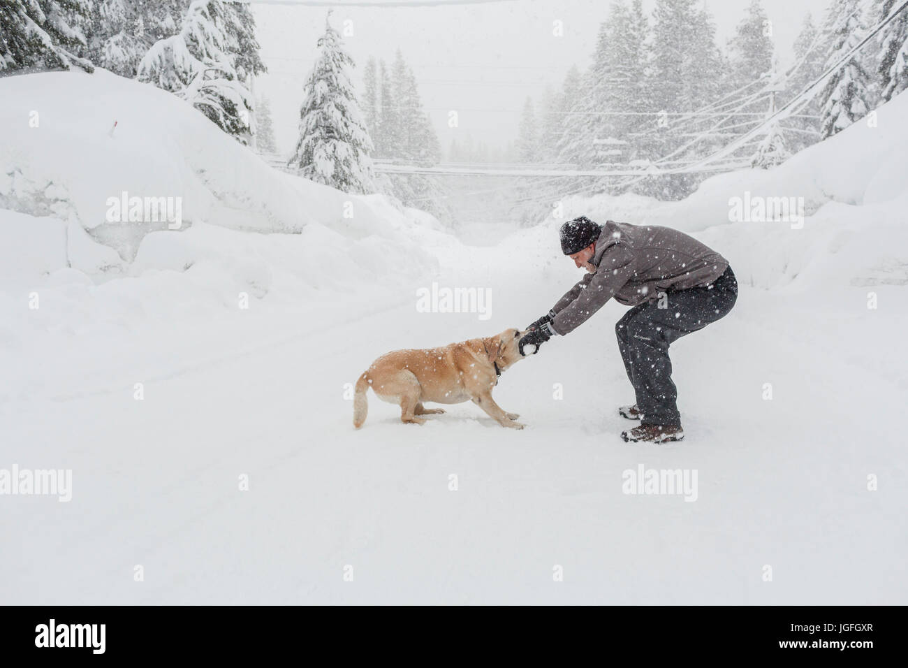 Kaukasischen Mann spielen Tauziehen mit Hund im Schnee Stockfoto