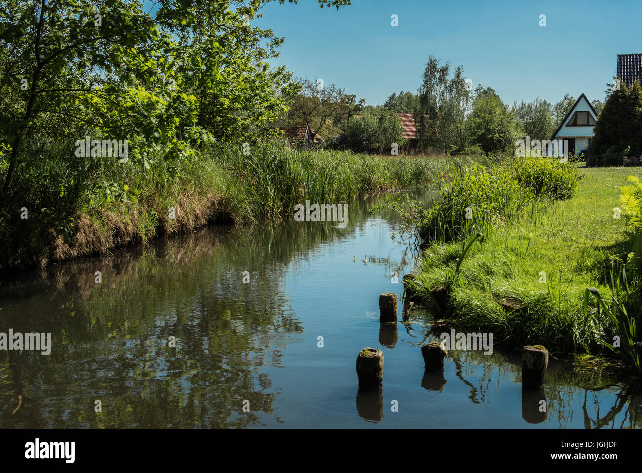 Blauer Himmel über Fluss mit Bäumen und Reflexion Stockfoto