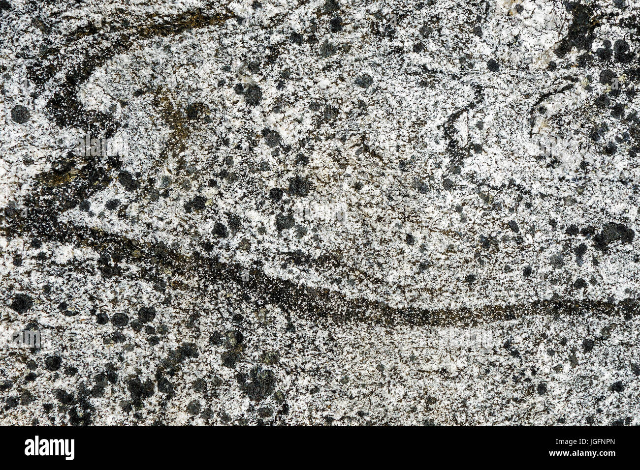 Lewisian komplexe / Lewisian Gneis, Nahaufnahme von präkambrischen Metamorphen Gesteine zeigen, körnige Struktur und Textur Stockfoto