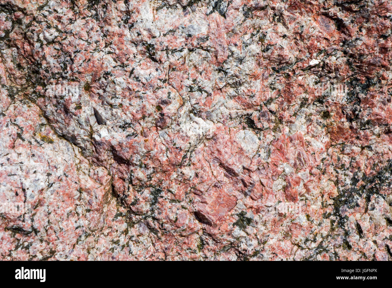 Pegmatit, Holocrystalline, aufdringliche Eruptivgestein, zeigt körnige Struktur und Textur Stockfoto