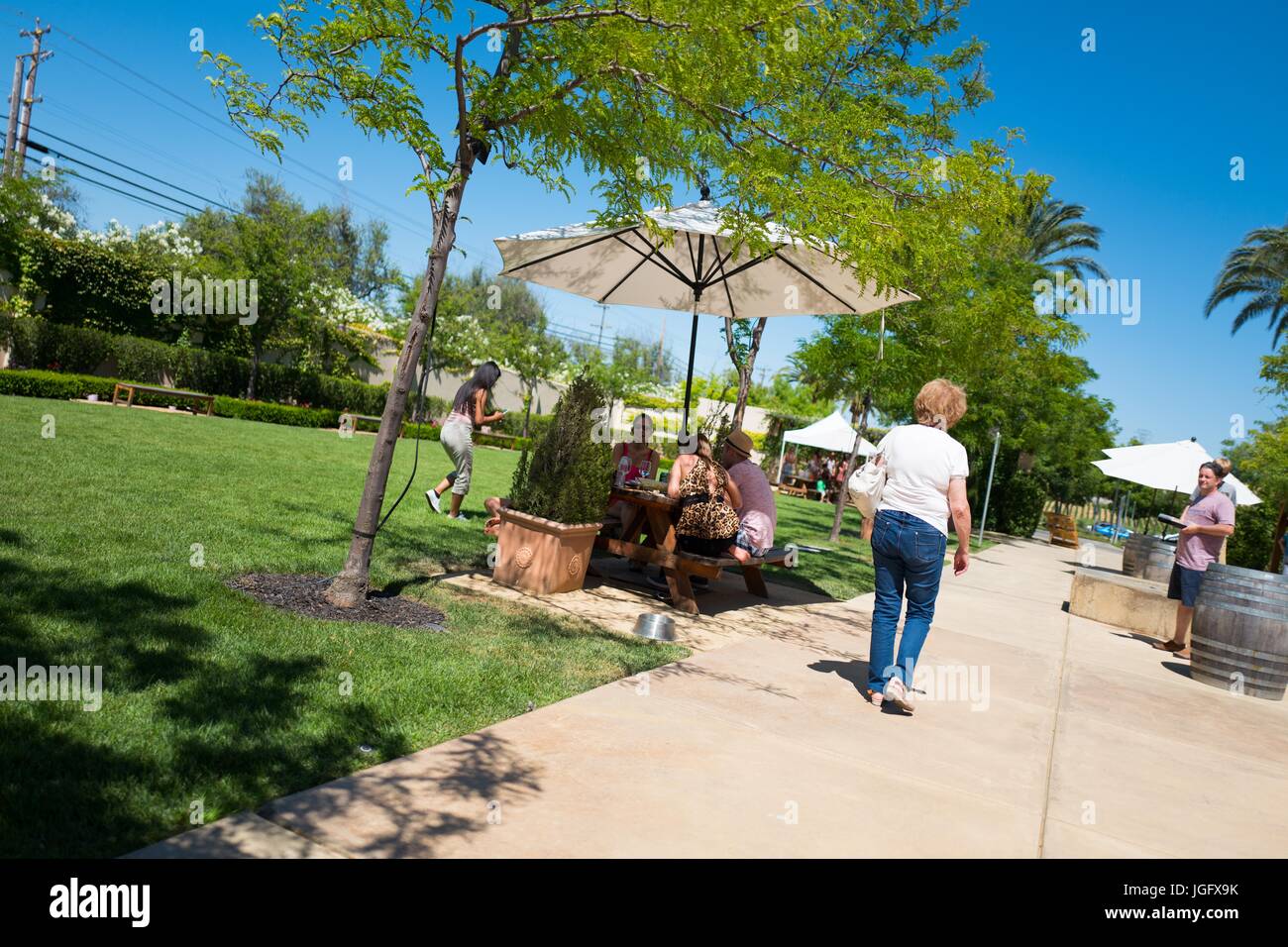 Leute gehen und entspannen Sie sich auf dem Rasen an einem sonnigen Tag im Weingut Wente in Livermore Wine Country, Livermore, Kalifornien, 25. Juni 2017. Im Jahre 1883 gegründet, ist Wente der Vereinigten Staaten älteste kontinuierlich arbeitende Weingut in Familienbesitz. Stockfoto