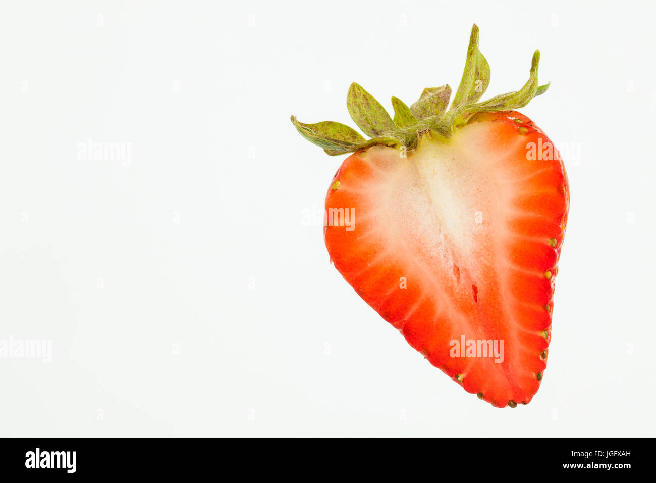 Erdbeere (Fragaria Ananassa) isoliert auf weißem Hintergrund Stockfoto