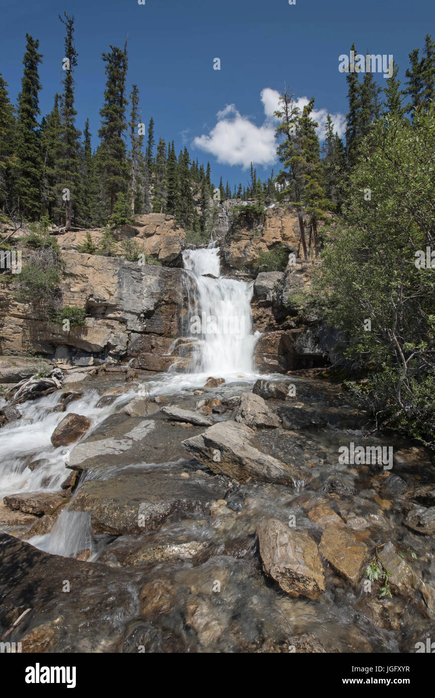 Tangle Creek Falls, Jasper Nationalpark, Alberta, Kanada Stockfoto