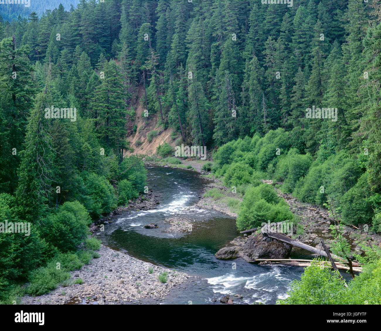 USA, Oregon, Mount Hood National Forest, obere erstreckt sich des Flusses Clackamas von Riverside National Recreation Trail gesehen. Clackamas River Stockfoto