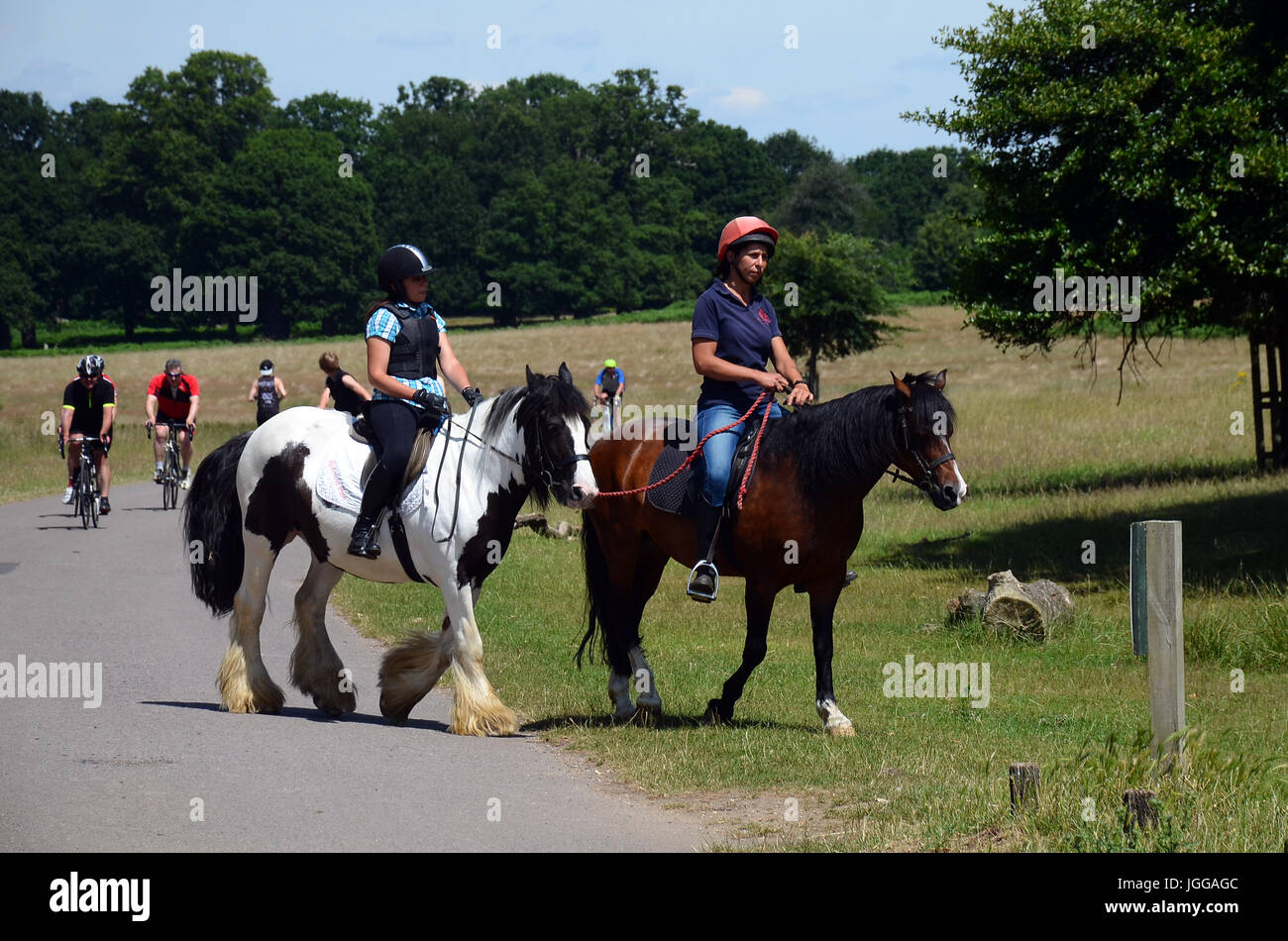 London, UK. 7. Juli 2017. Genießen Sie die Sonnenstrahlen im Richmond Park Credit: JOHNNY ARMSTEAD/Alamy Live News Stockfoto