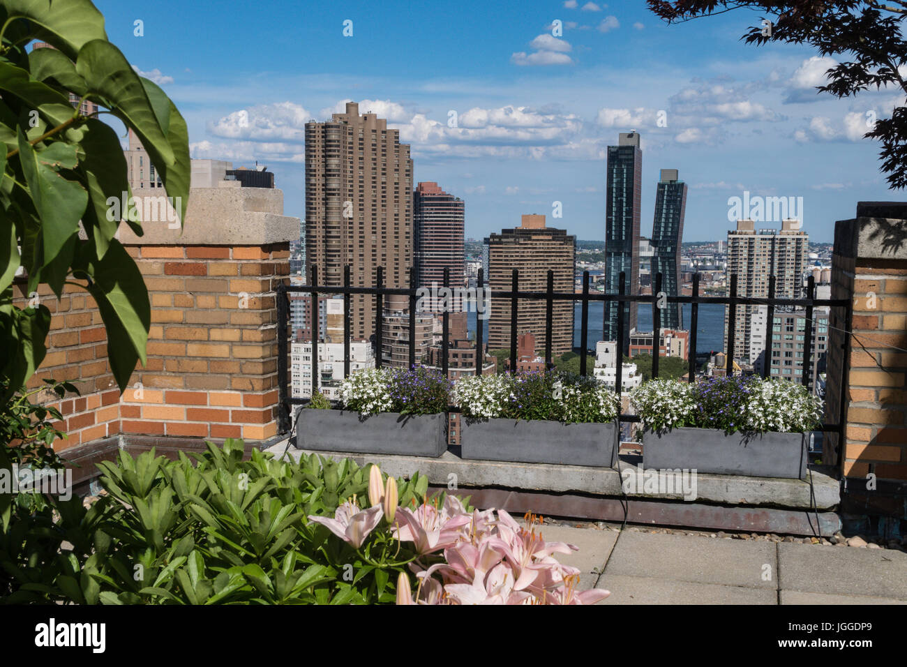 Blick auf die Skyline von Manhattan von der Dachterrasse, NYC, USA Stockfoto