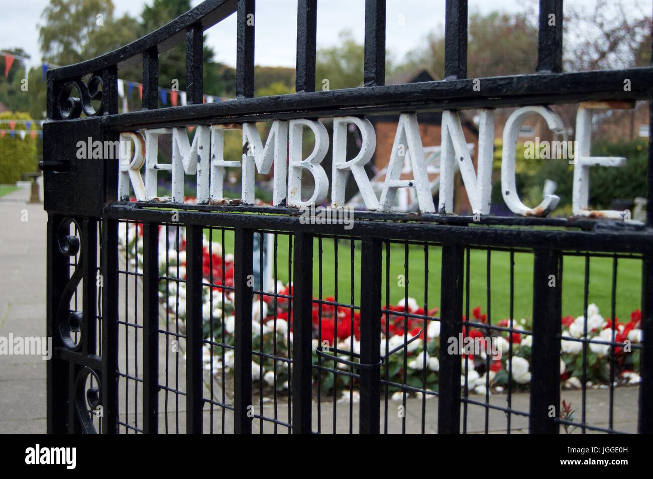 Ente, fangen einige Zeit allein, Barnes Wetland Centre Stockfoto