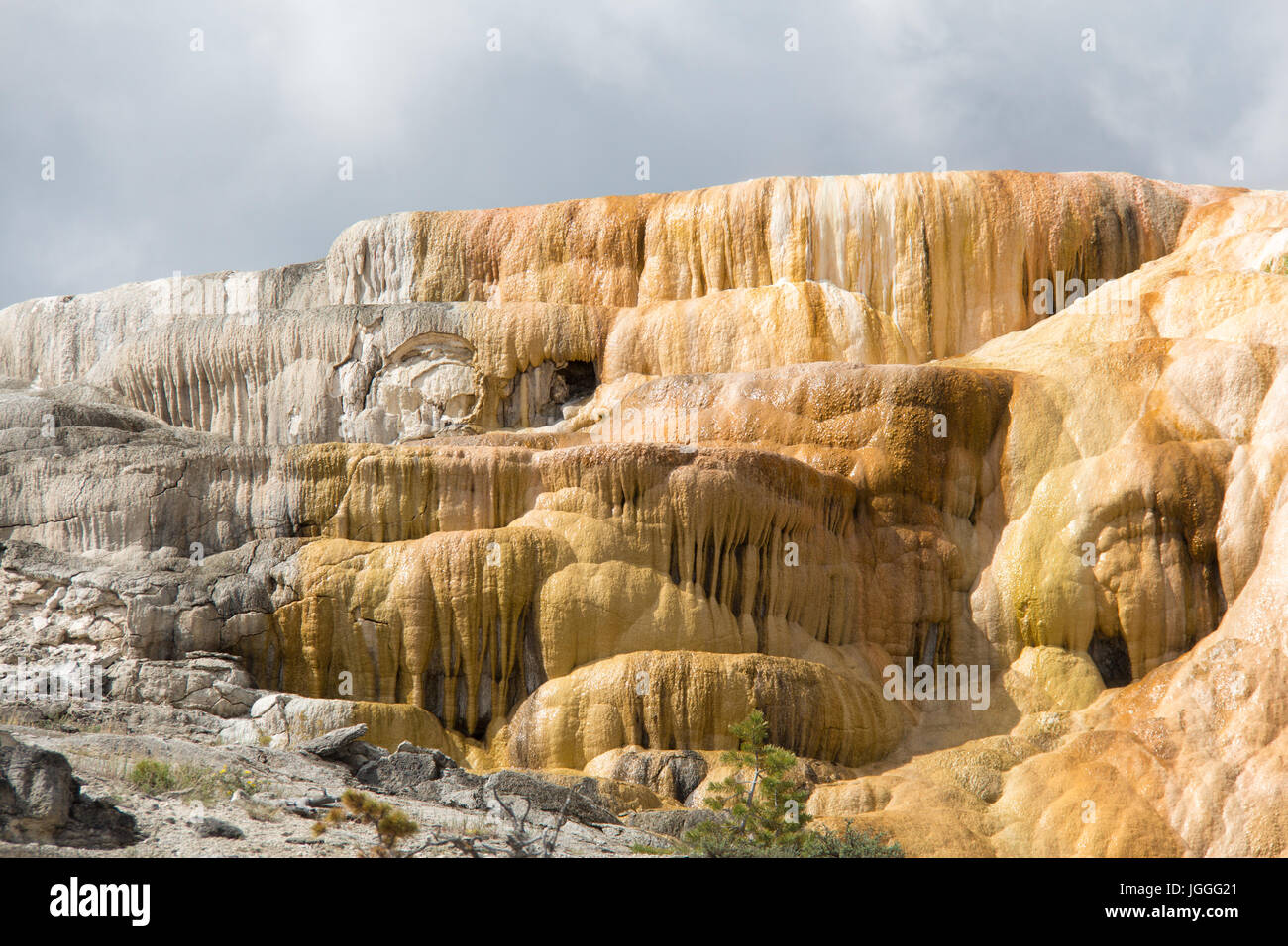 Detail der Cleopatra-Terrasse am Mammoth Hot Springs, Yellowstone-Nationalpark Stockfoto