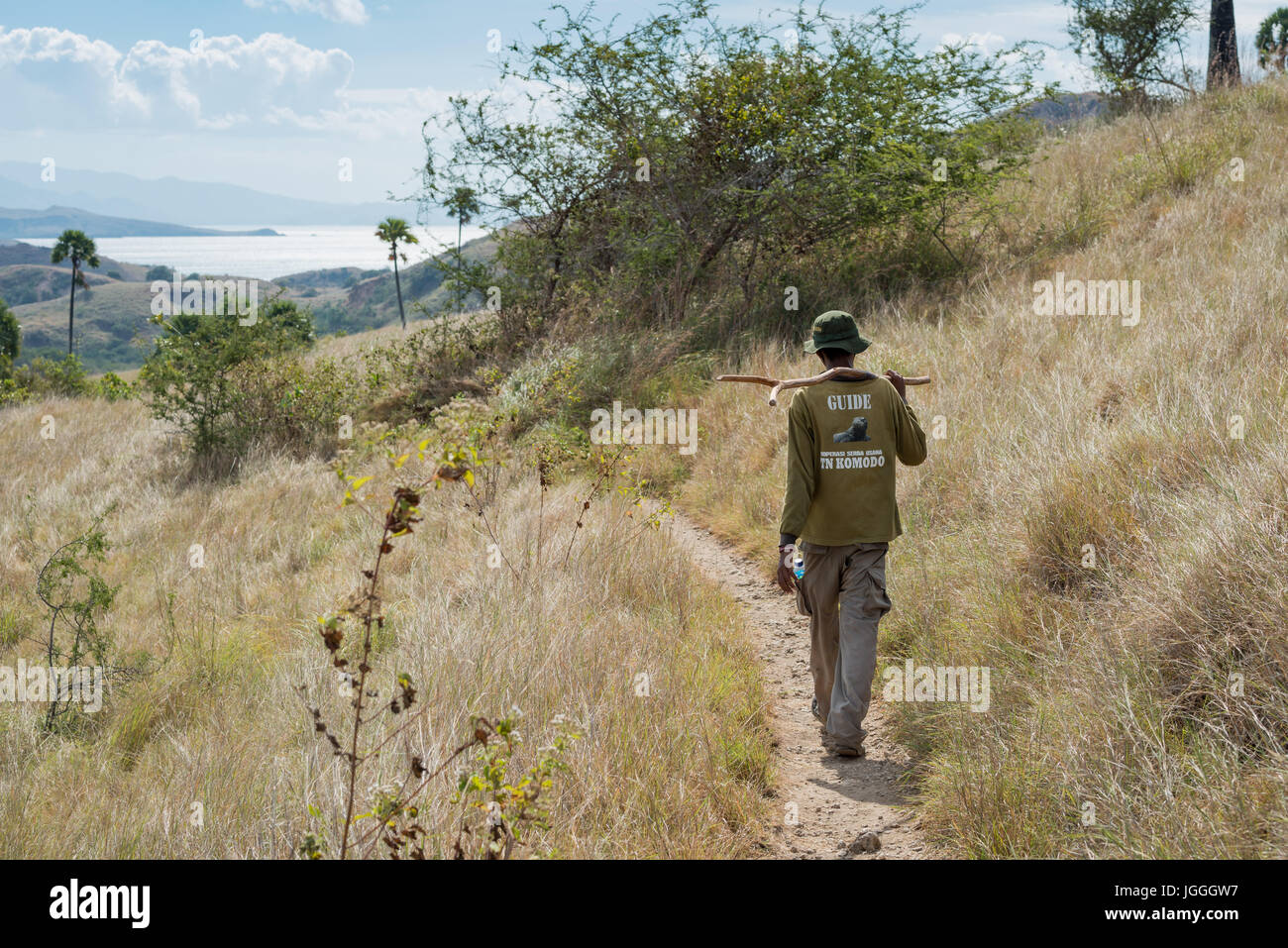 Wandern im Komodo Nationalpark Komodo Indonesien Reiseführer Stockfoto