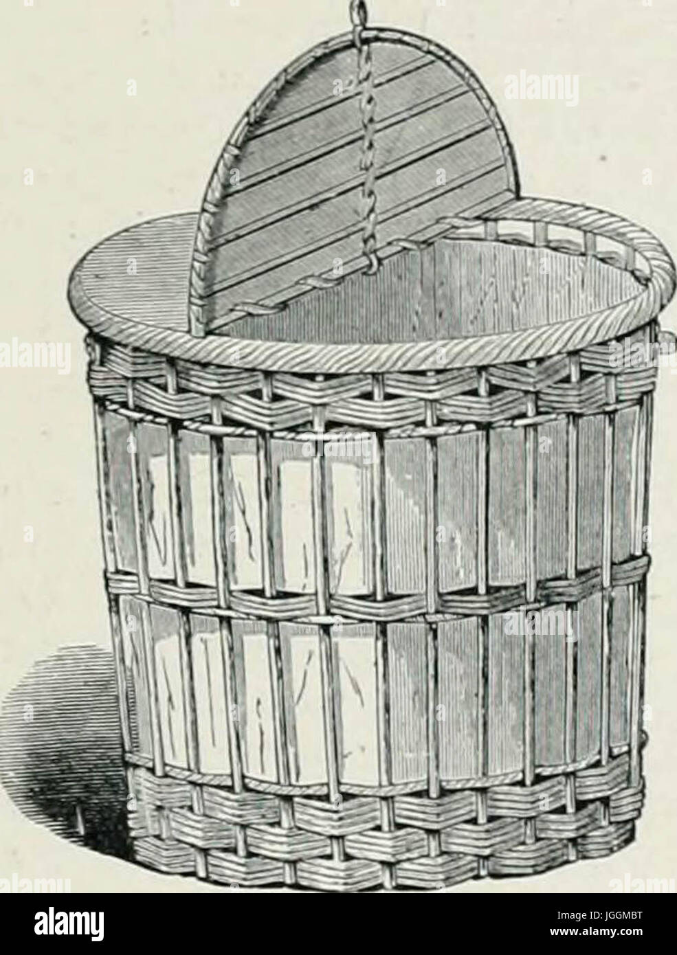 Wrights Buch von Geflügel, überarbeitet und herausgegeben im Einklang mit den neuesten Geflügel Club-Standards (1911) Stockfoto