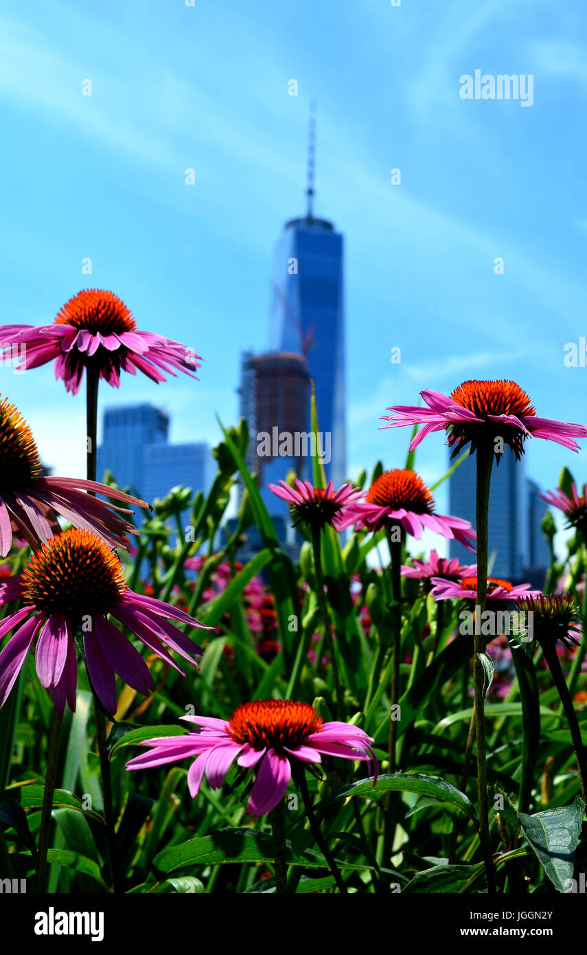 Blumen blühen entlang der Hudson River Esplanade mit der Lower Manhattan Skyline im Hintergrund. Stockfoto