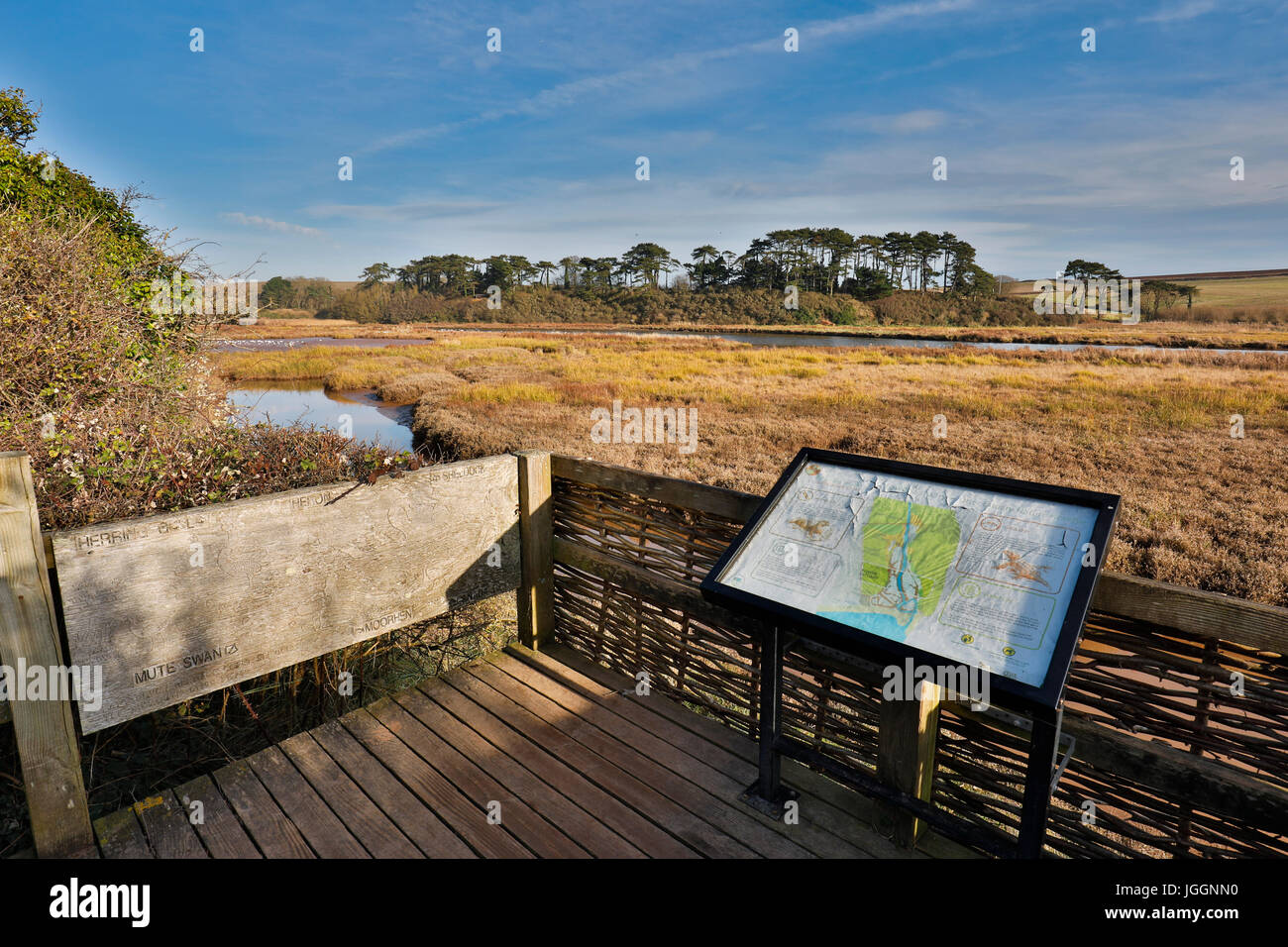 Info-Tafel; Fischotter; Devon; UK Stockfoto