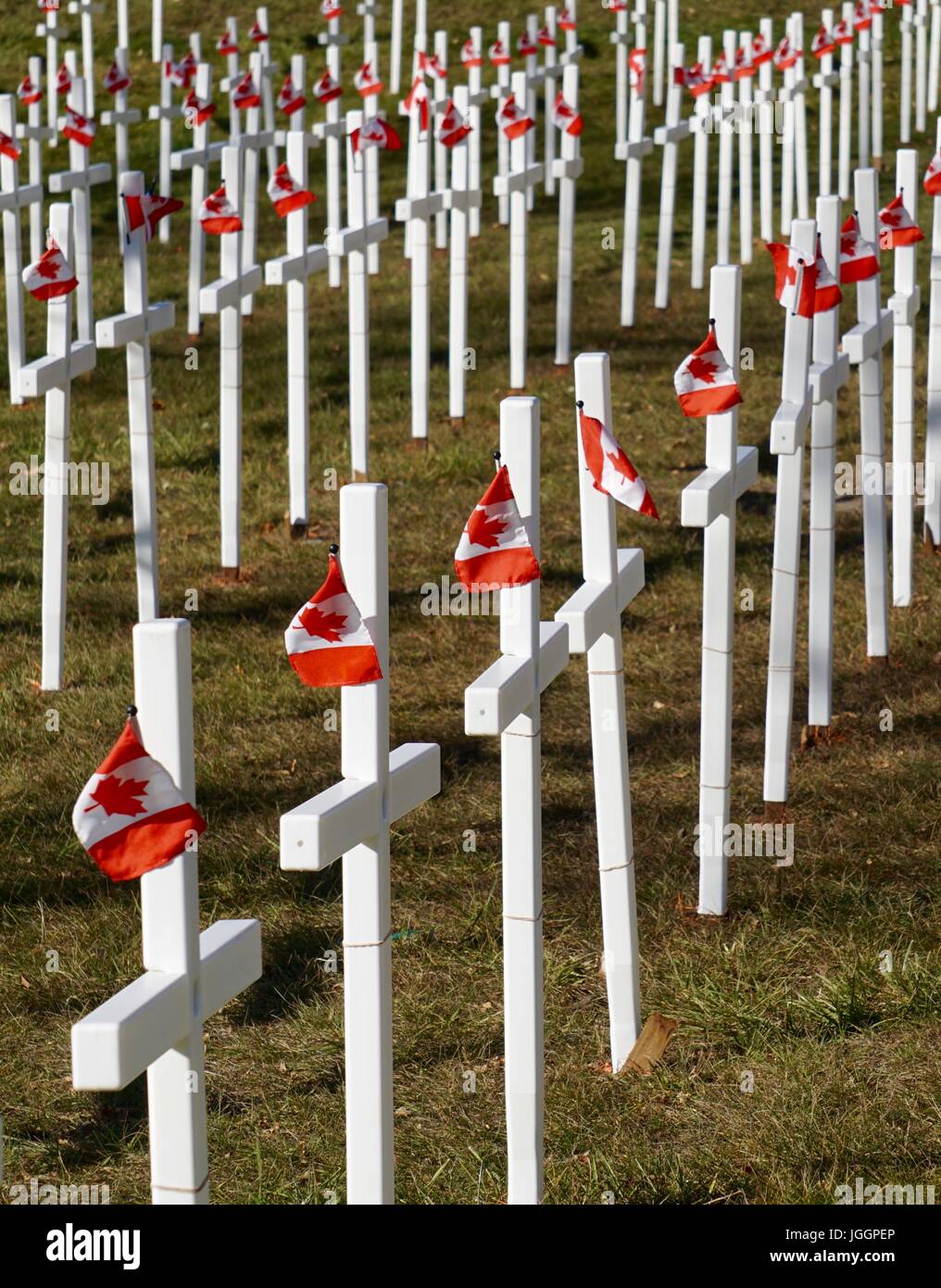 Weiße Kreuze mit kanadischen Flaggen für Gedenktag Stockfoto