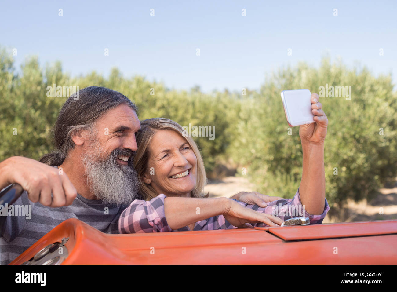 Brautpaar nehmen Selfie von mobile in Olivenfarm Stockfoto