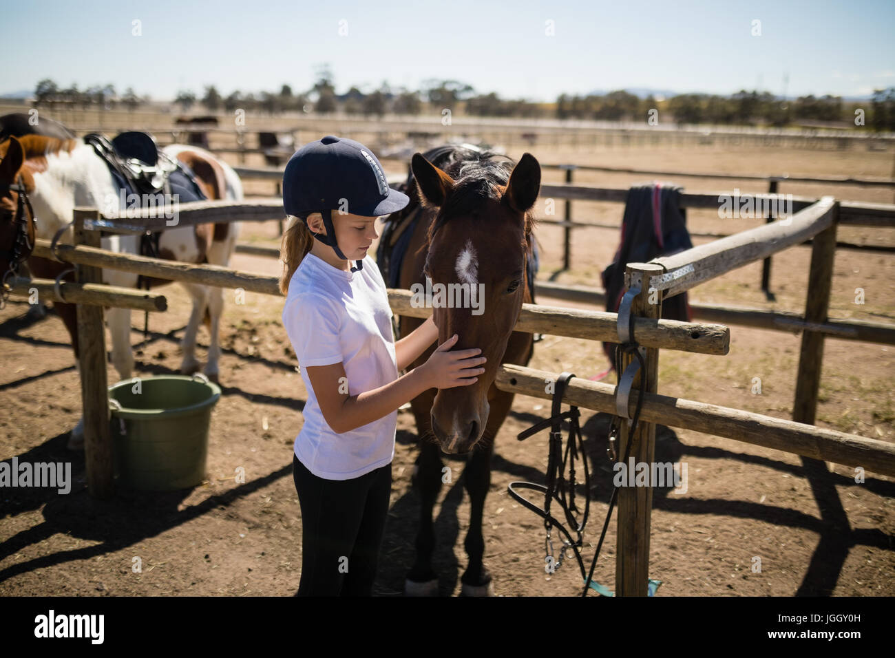 Mädchen streichelt das braune Pferd auf der Ranch an einem sonnigen Tag Stockfoto